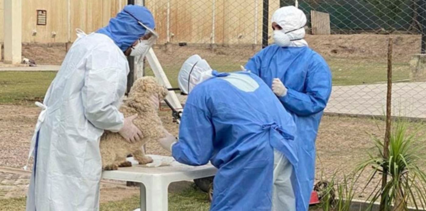 1610586872993.jpg?x=5&y=14&width=926&height=463&rotate=0&scaleX=1&scaleY=1&ow=938&oh=694&&cw=1920&ch=950