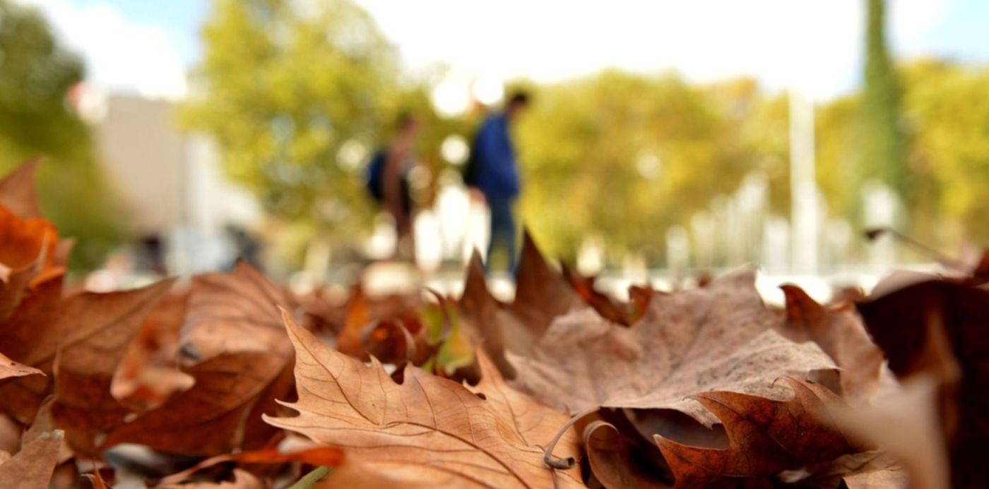 1557516590396.jpg?scaleY=1&ow=1500&scaleX=1&oh=997&x=7&y=102&width=1463&height=731&rotate=0&&cw=1920&ch=950