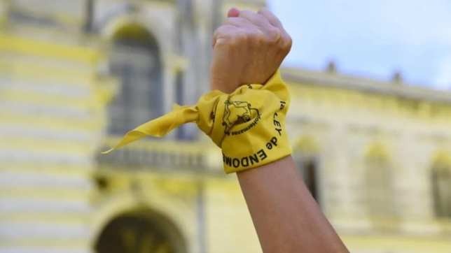 la plata tendra una semana de actividades para visibilizar la endometriosis y concientizar sobre sus sintomas