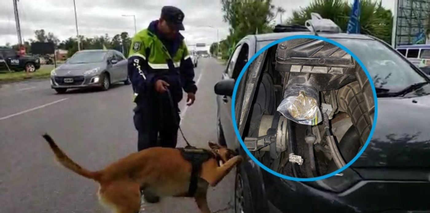 1547212464766.jpg?&cw=1920&ch=950