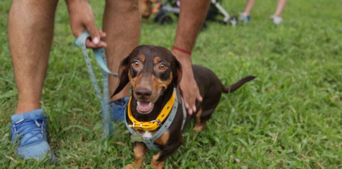 1552161887758.jpg?&cw=1920&ch=950