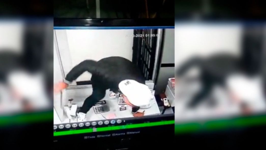 VIDEO: Desde adentro, así intentaron robar en una casa de cambio de La Plata