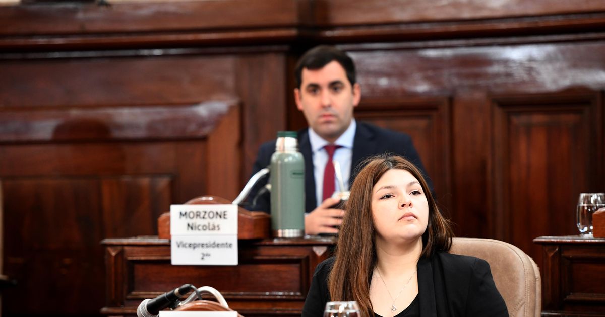 Licitación de los micros en La Plata: No puede pensarse el sistema solo ...