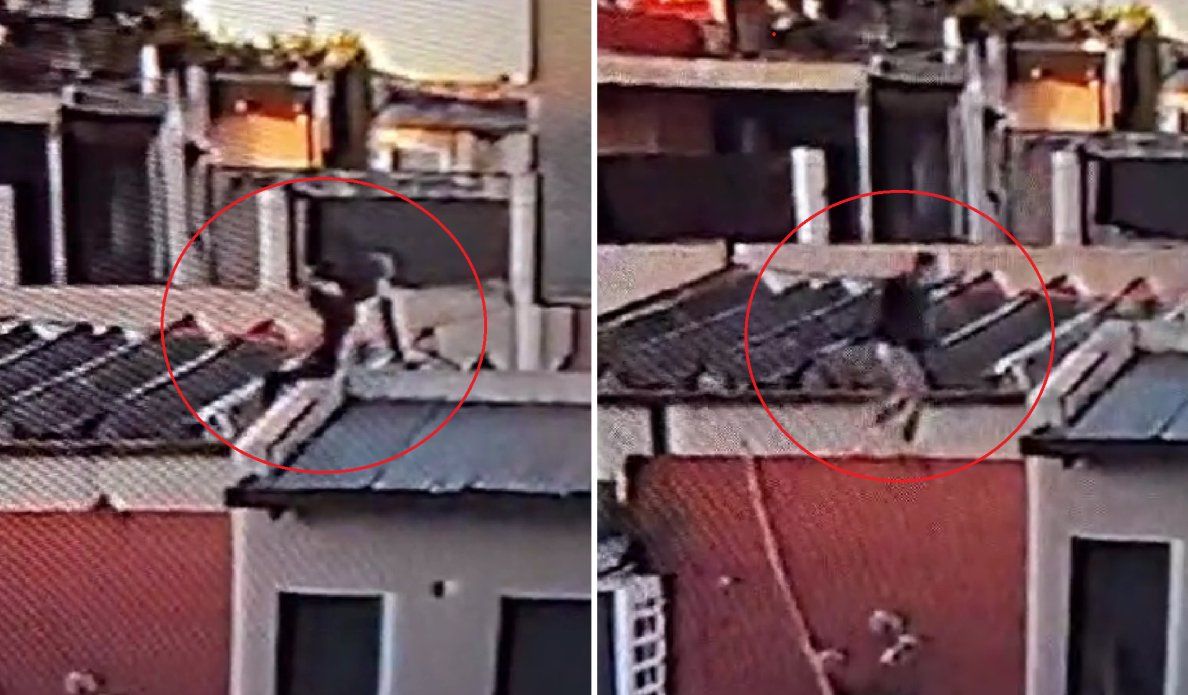 Ladrones huyendo en Tolosa.png