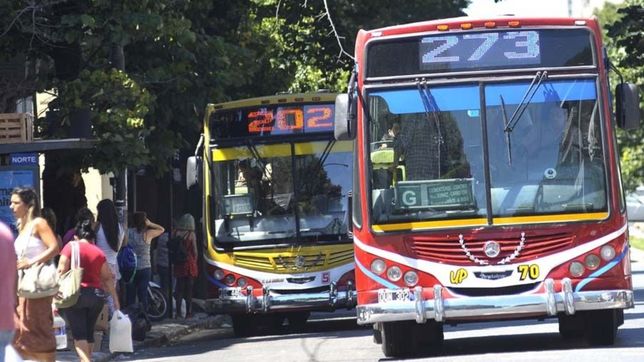 baldosazos, vidrios rotos y panico a bordo de un micro en la plata