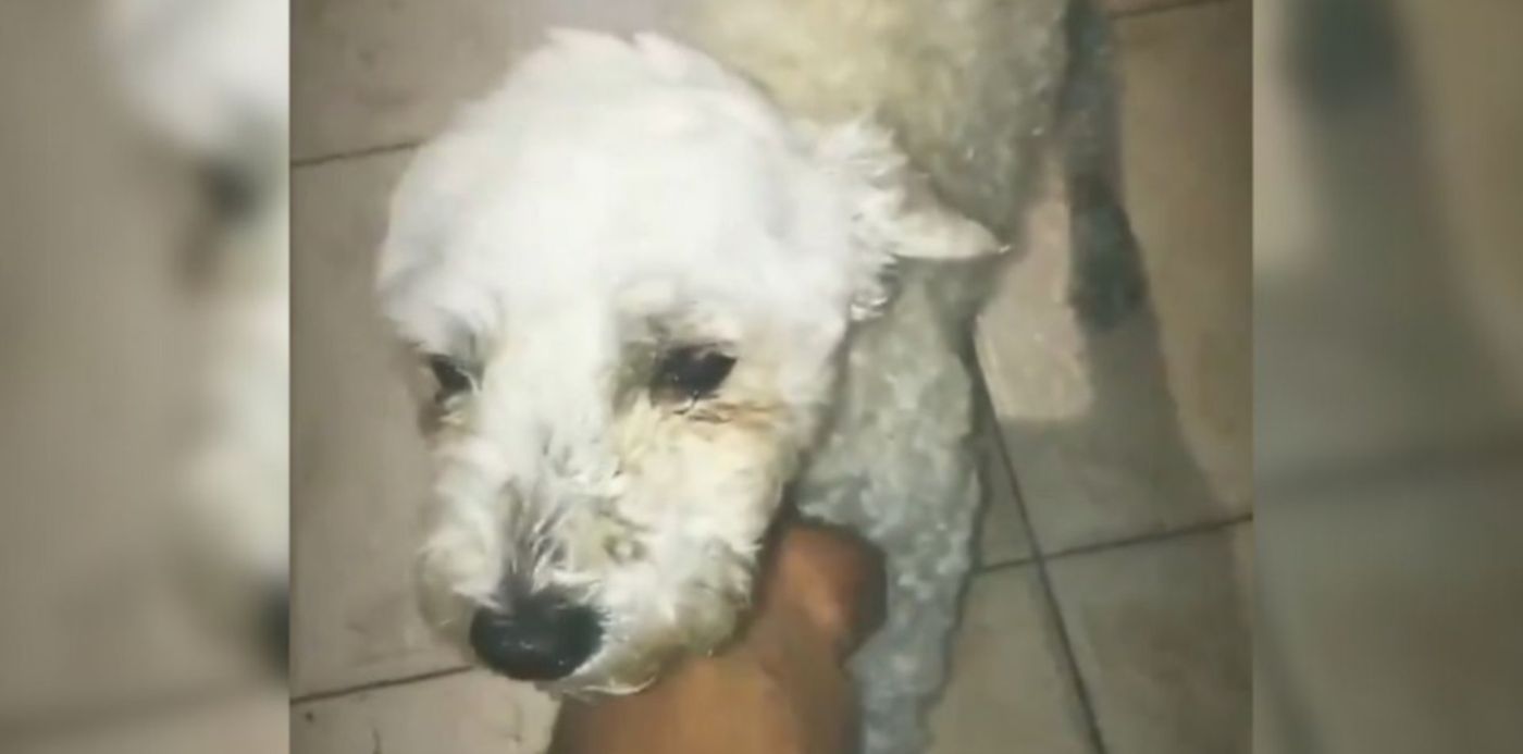 1622635947064.jpg?x=36&y=10&width=1262&height=630&rotate=0&scaleX=1&scaleY=1&ow=1350&oh=650&&cw=1920&ch=950