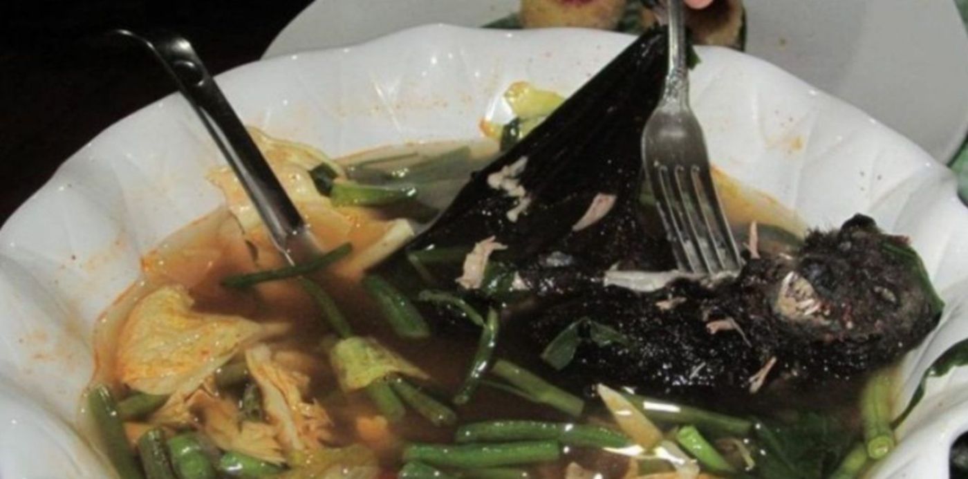 1579880861976.jpg?&cw=1920&ch=950