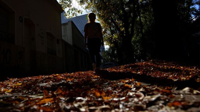 neblina, sol, nubes y lluvias: el pronostico del clima para toda la semana en la plata