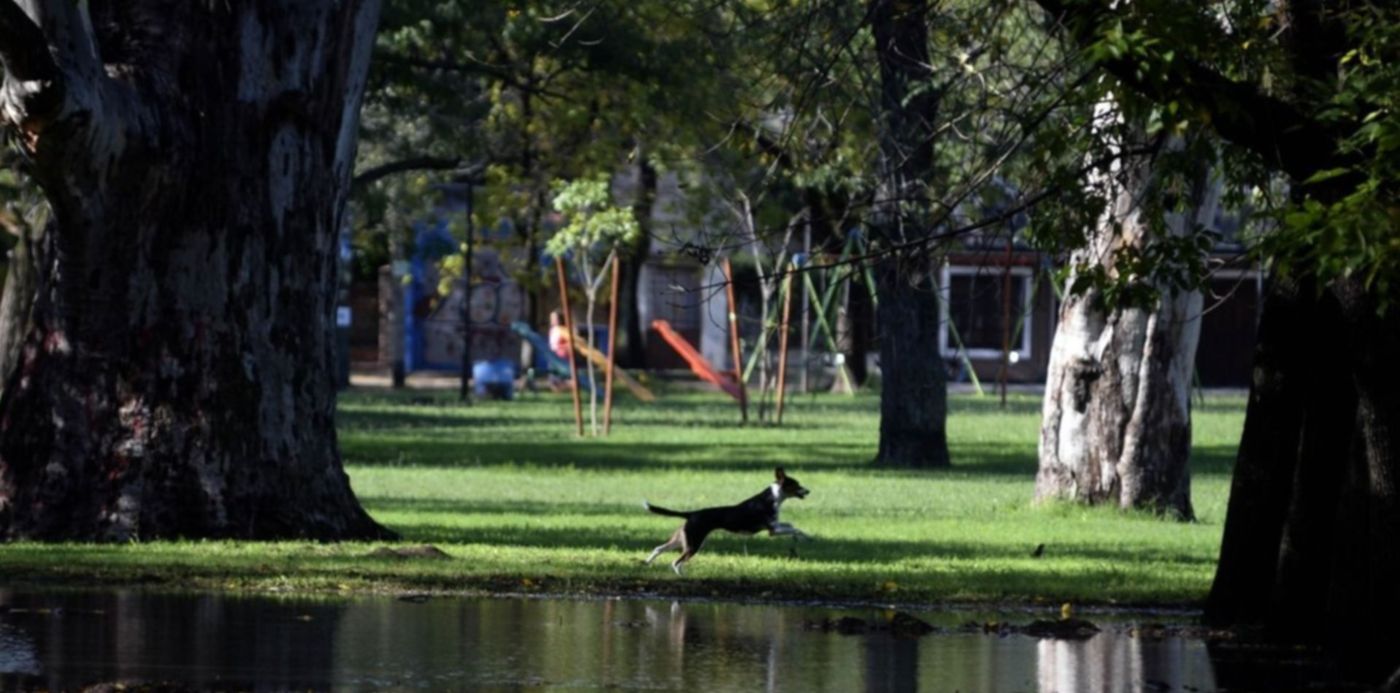 El Servicio Meteorológico Nacional anticipa para este jueves sol y una temperatura máxima de 20 grados en La Plata.