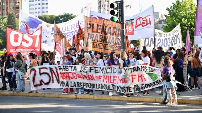 realizaron una multitudinaria marcha en la plata por el dia internacional de la lucha contra la violencia de genero